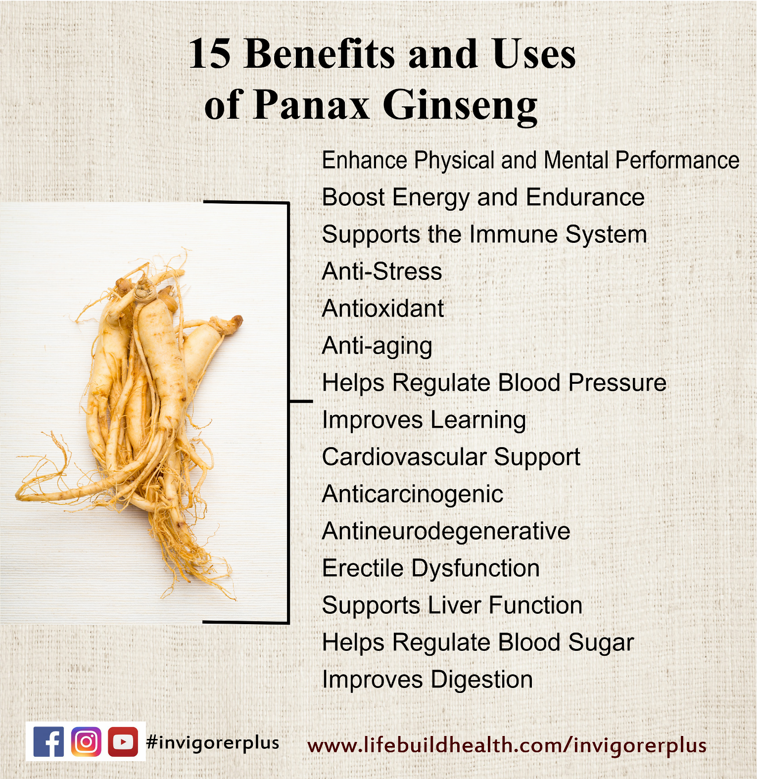 Benefits of Panax Ginseng