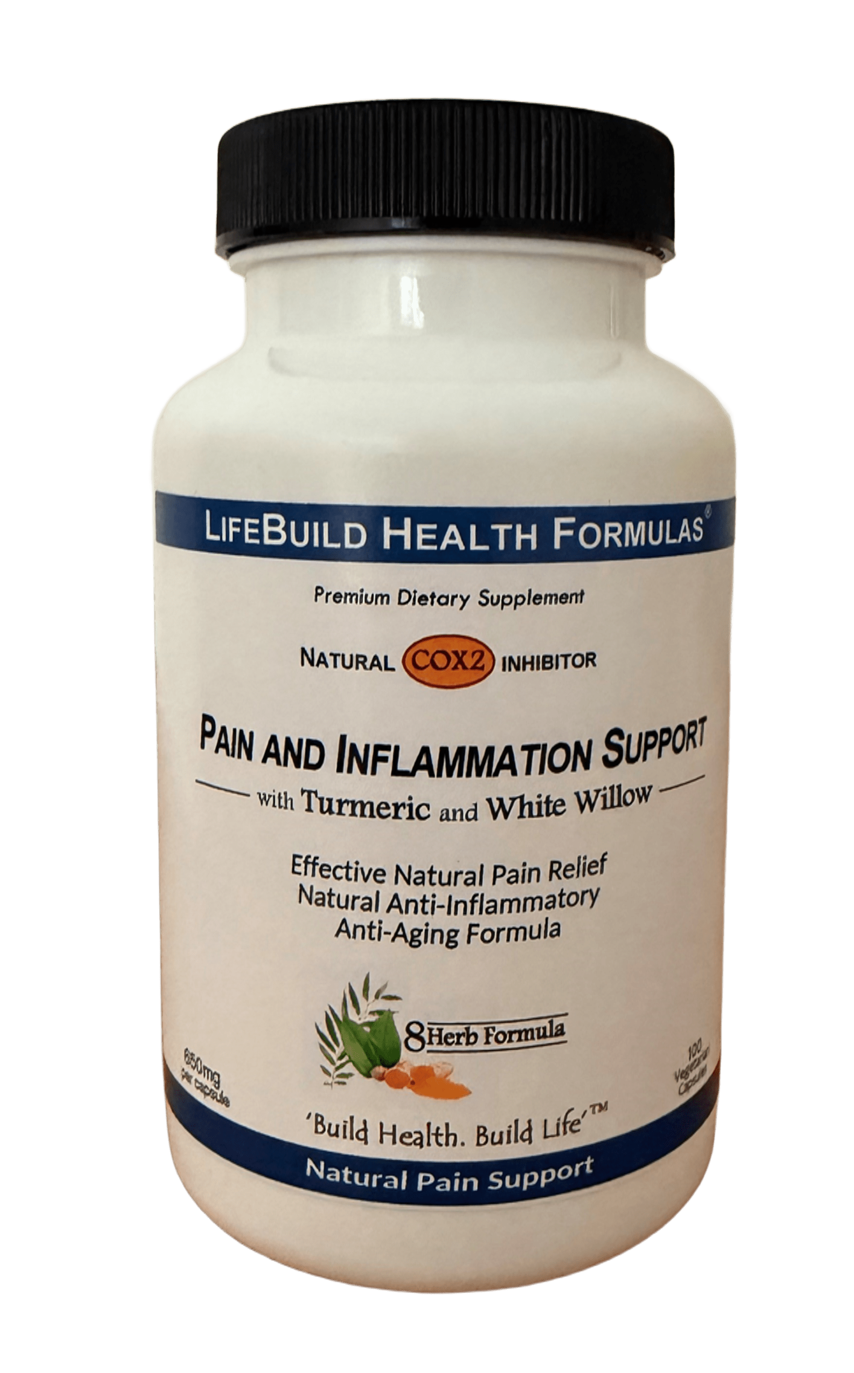Pain and Inflammation Support Herbal Remedy