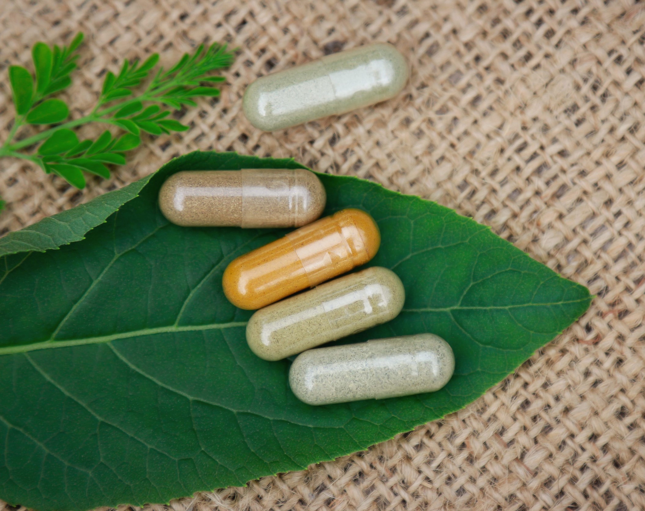 Herbal supplements to boost the immune system